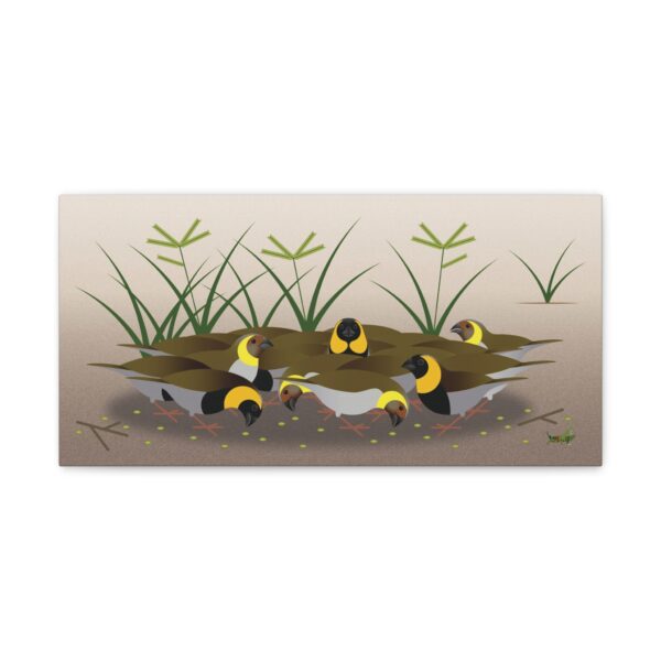 Cuban Grassquit Canvas Gallery Wraps - Image 3