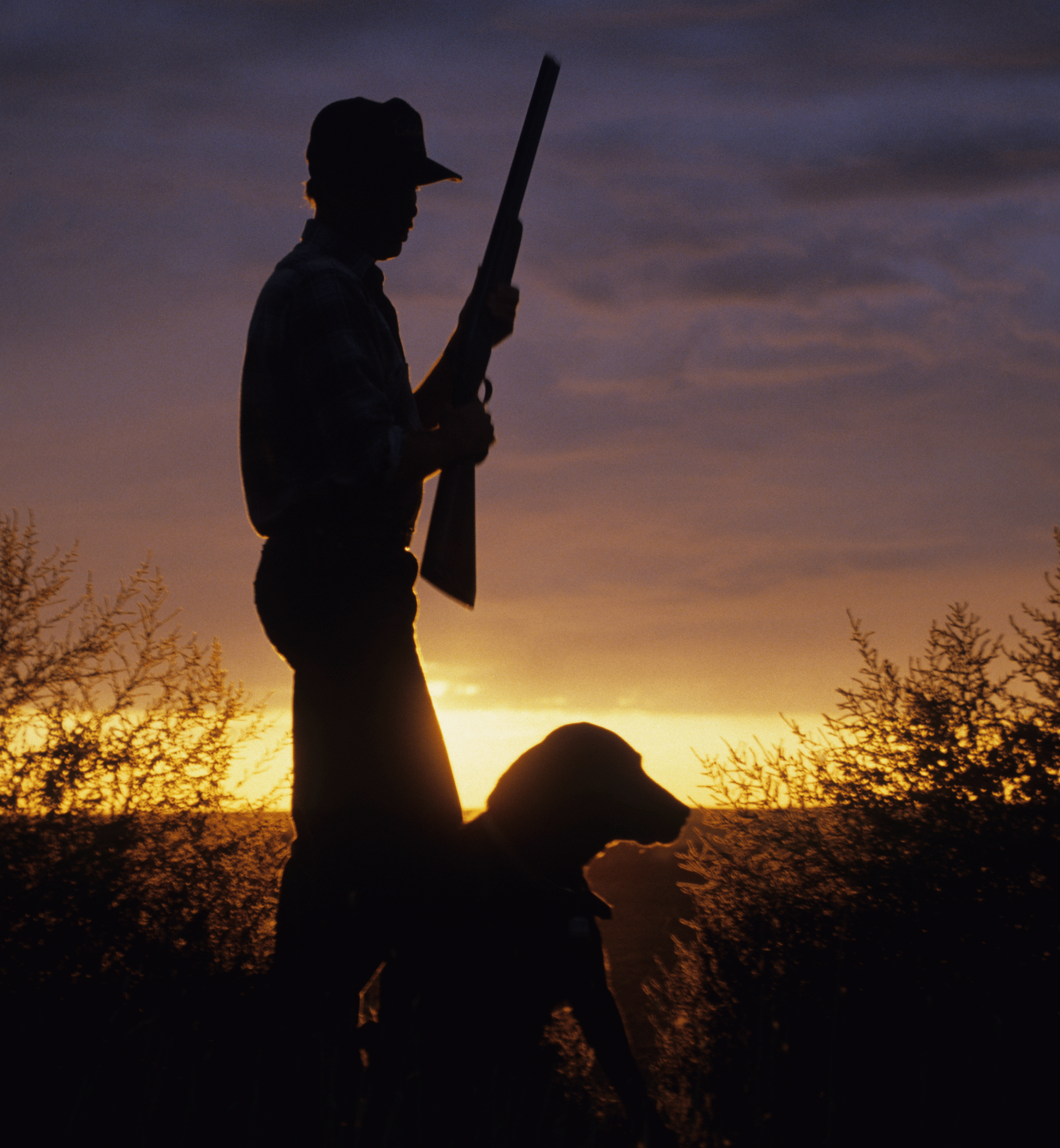 Field care for taxidermy