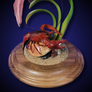 Shrimp taxidermy