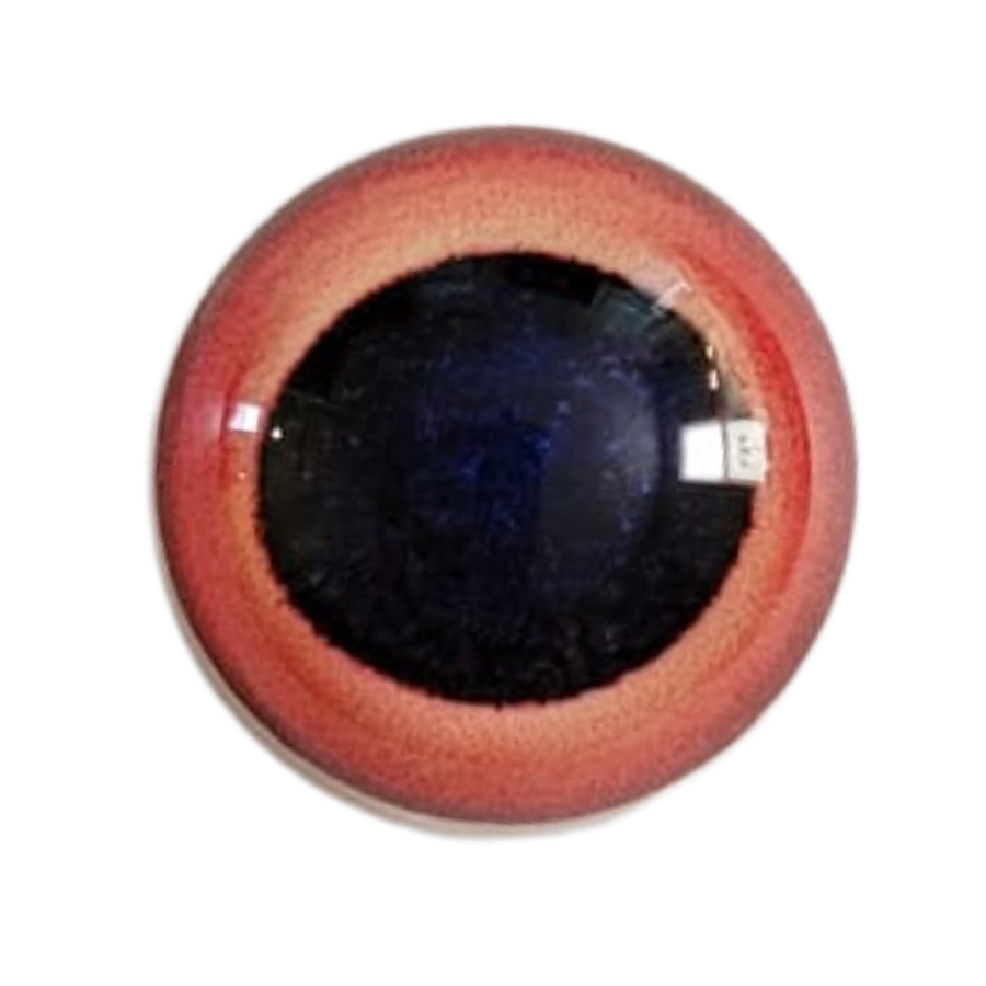 Wood duck Dead Eyes