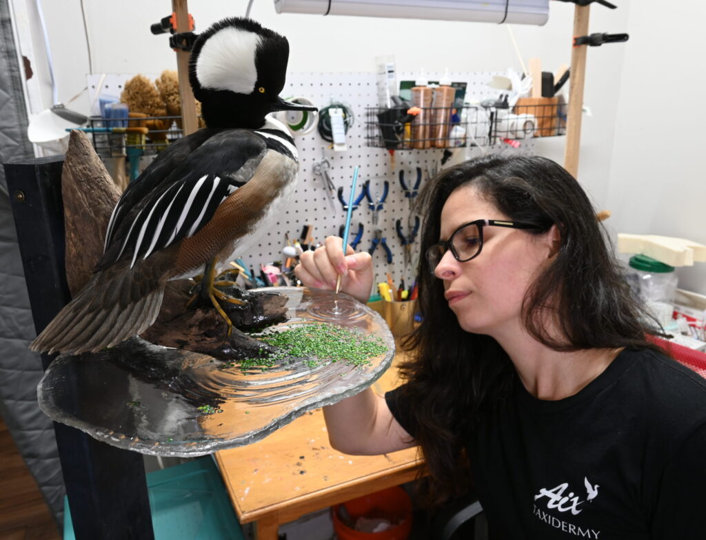 DSC 6258 scaled e1758820626366