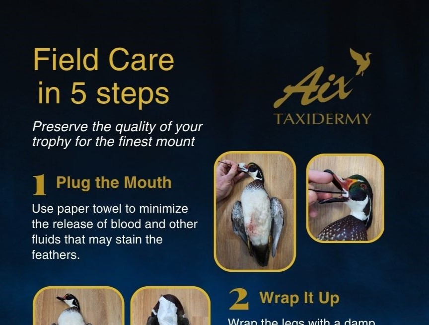 Field care and Shipping 1