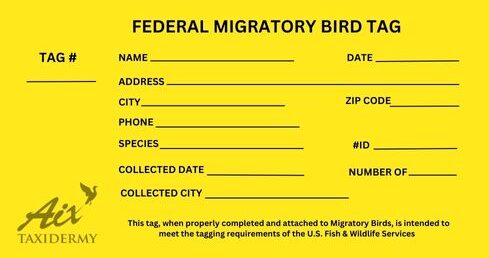 Migratory Bird YELLOW TAG