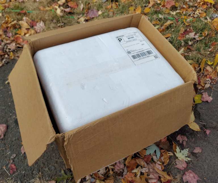 Shipping bird for taxidermy