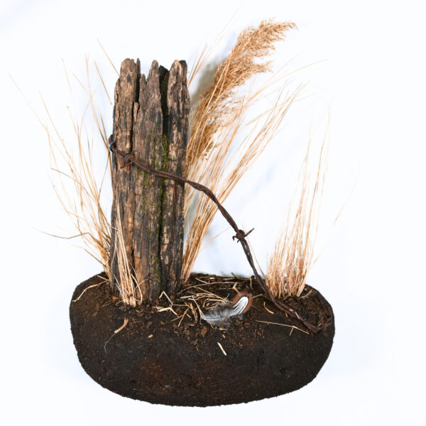 Praire wall scne for pheasant