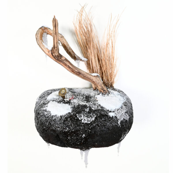 Winter wall scene for bird taxidermy