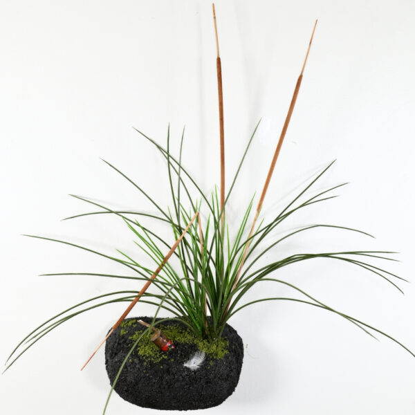 Wall Scenes. The Flexible Habitat Display