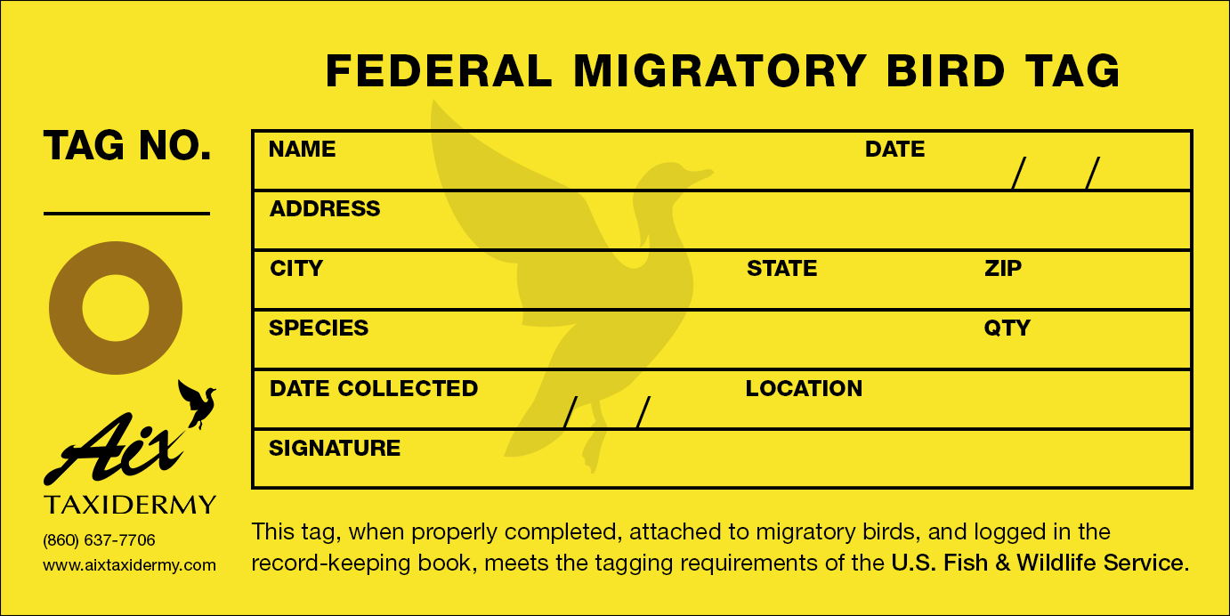 Migratory Bird Tag