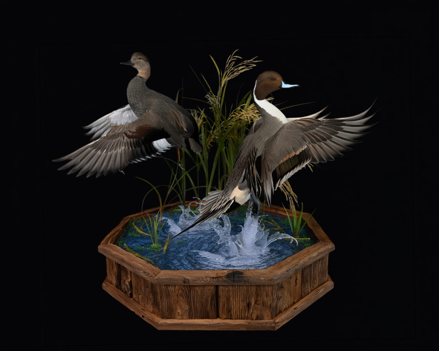 Bird taxidermy in northeast