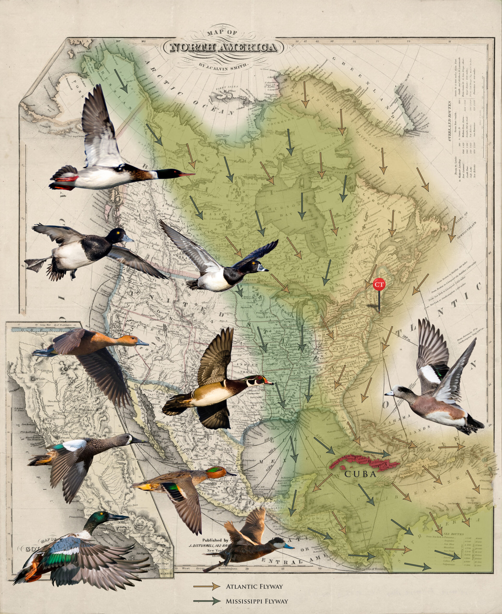 Mapa Flyways scaled