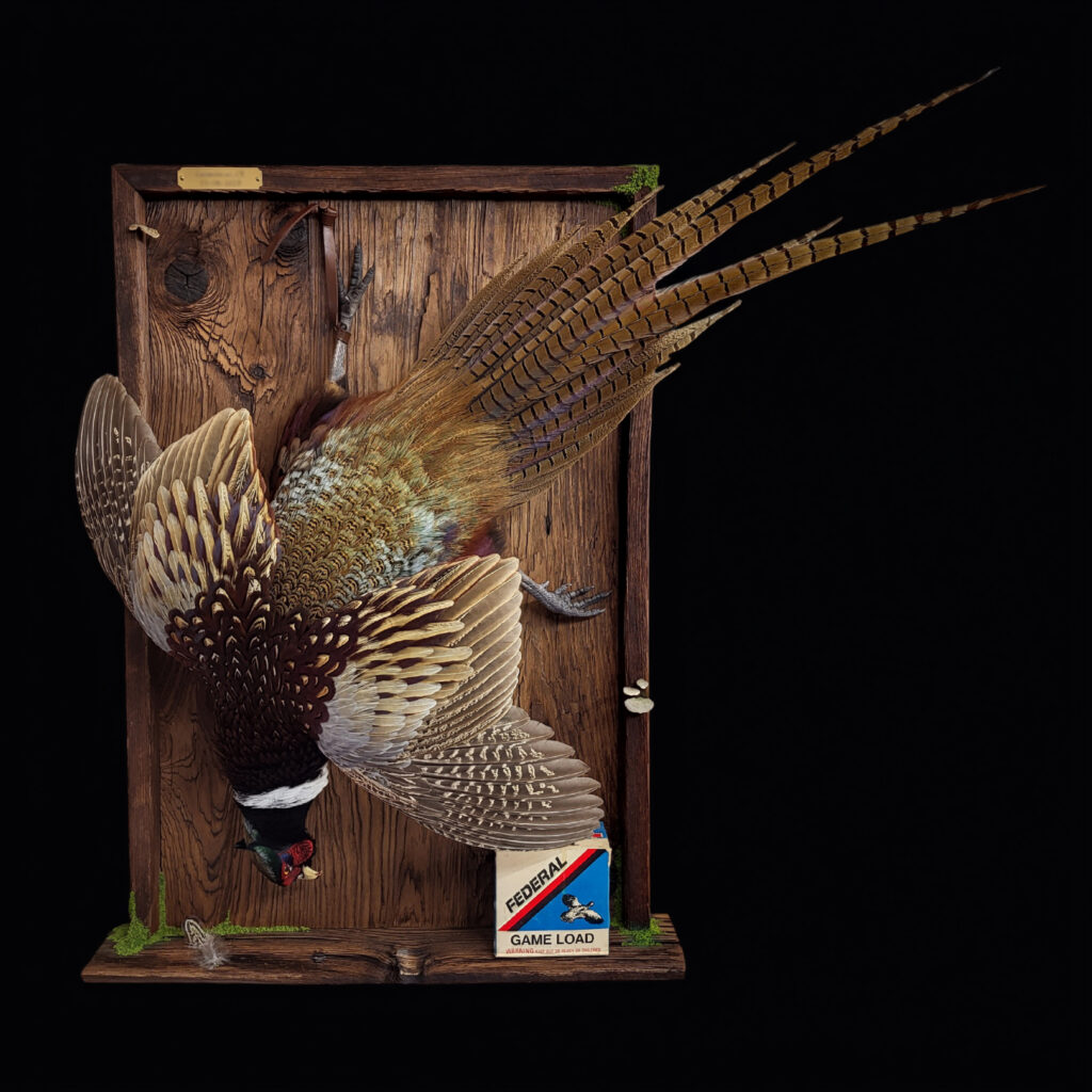 Northeast bird taxidermy
